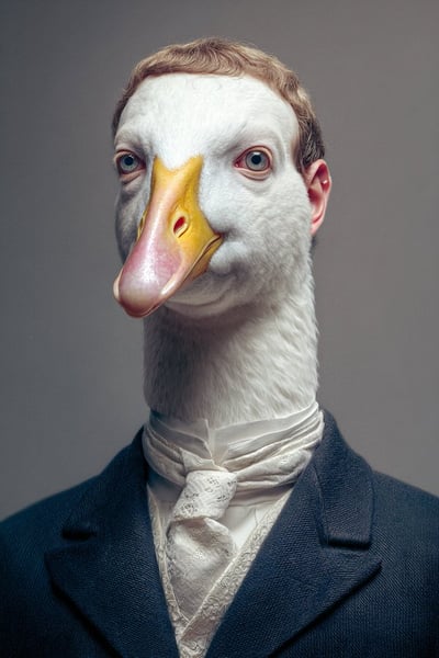 Person as an Animal: Highly Detailed Portrait thumbnail